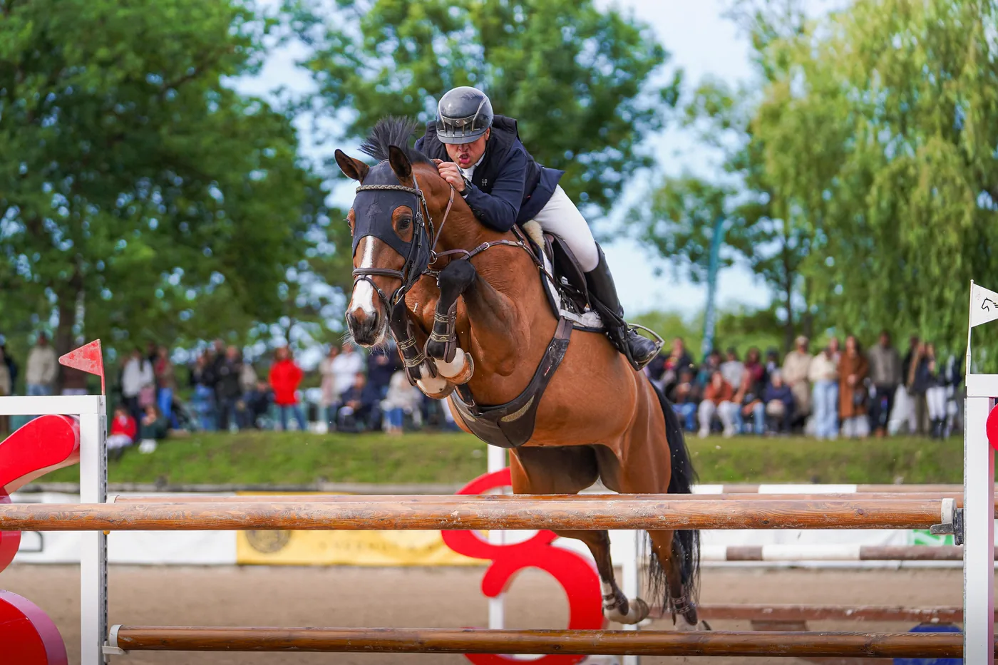 Merina Star — salto internacional 1,45 m